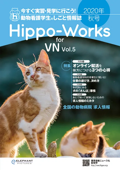 Hippo-Works for VN Vol.5　2020年秋号